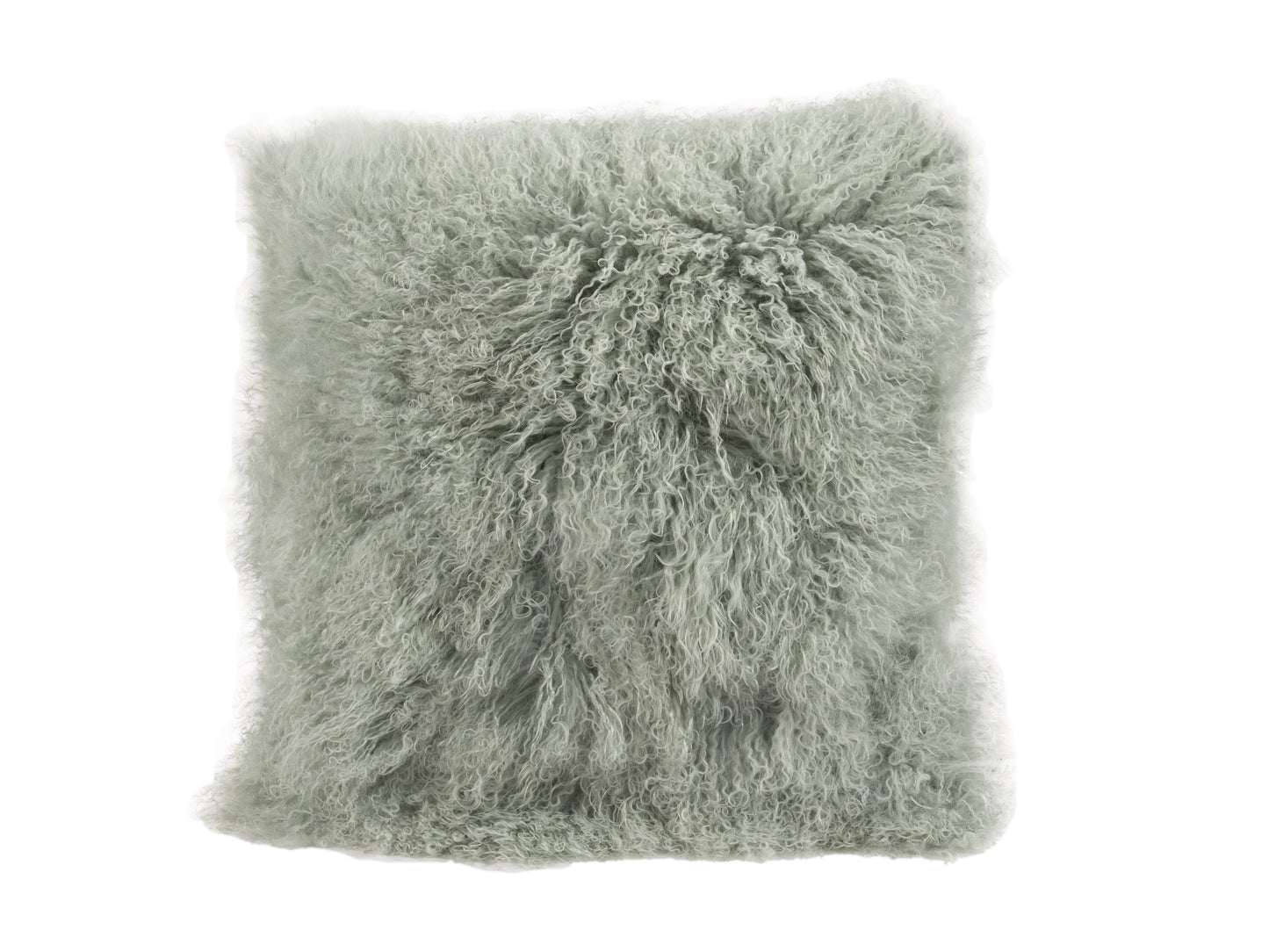 Tibetan Cushion