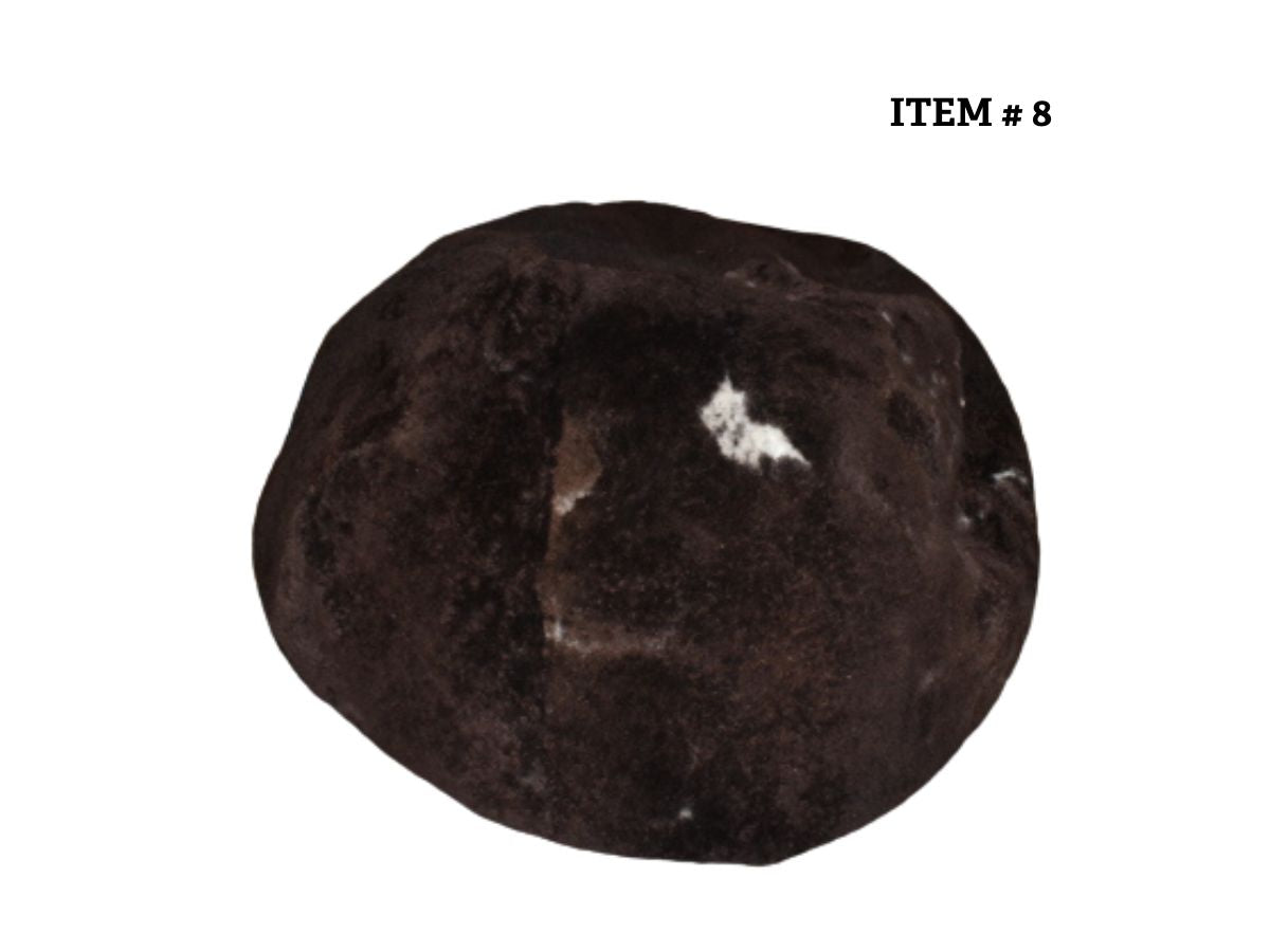 Shorn Sheepskin Bean Bag