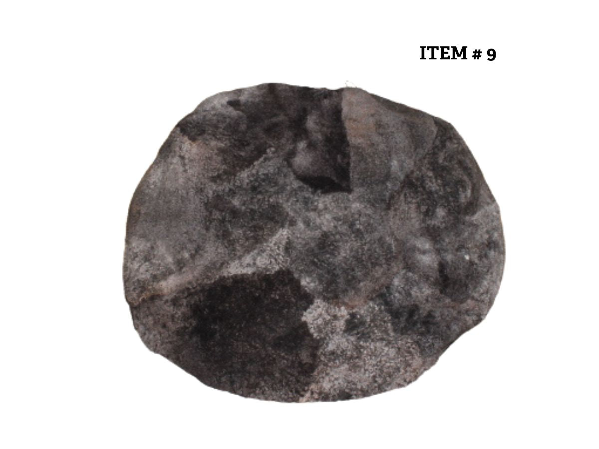 Shorn Sheepskin Bean Bag