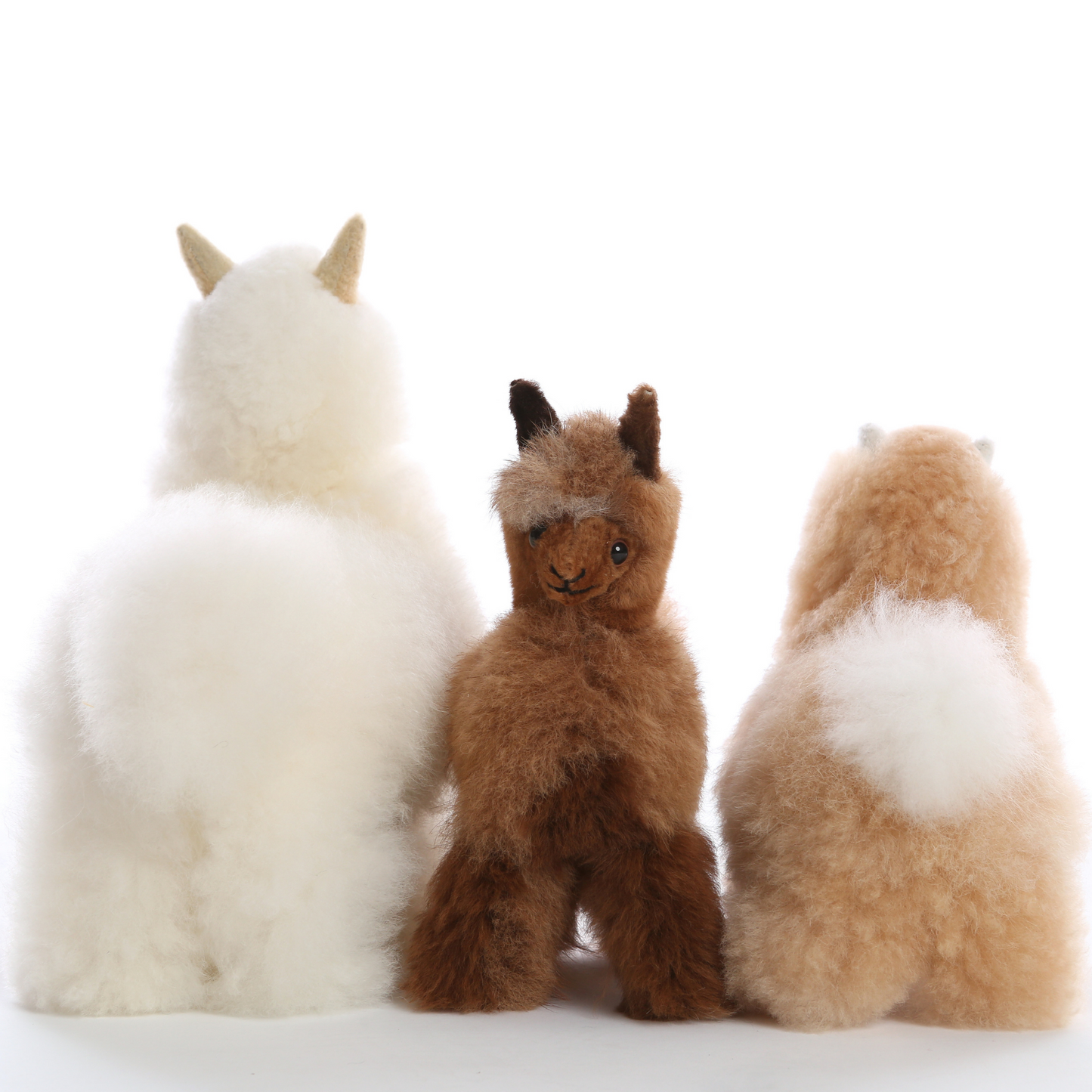 Alpaca Collectible