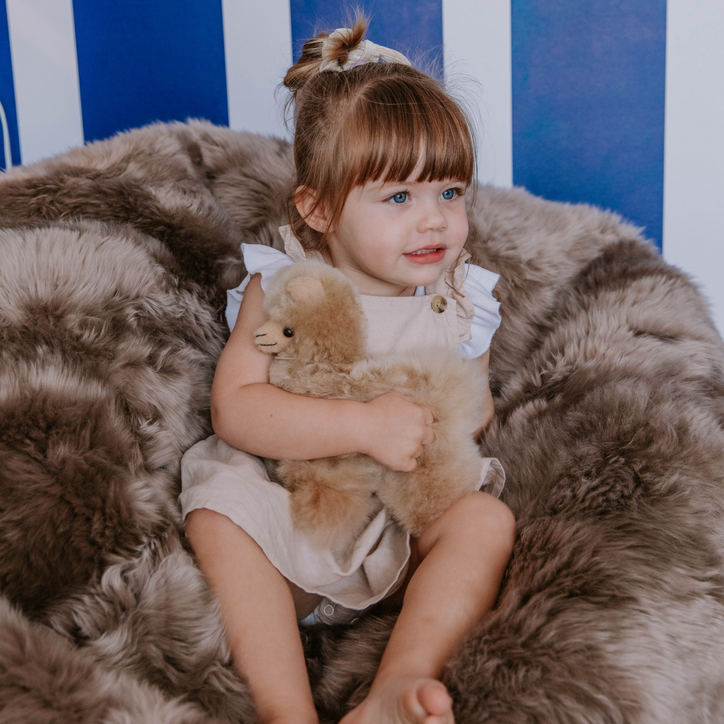 Alpaca Collectible