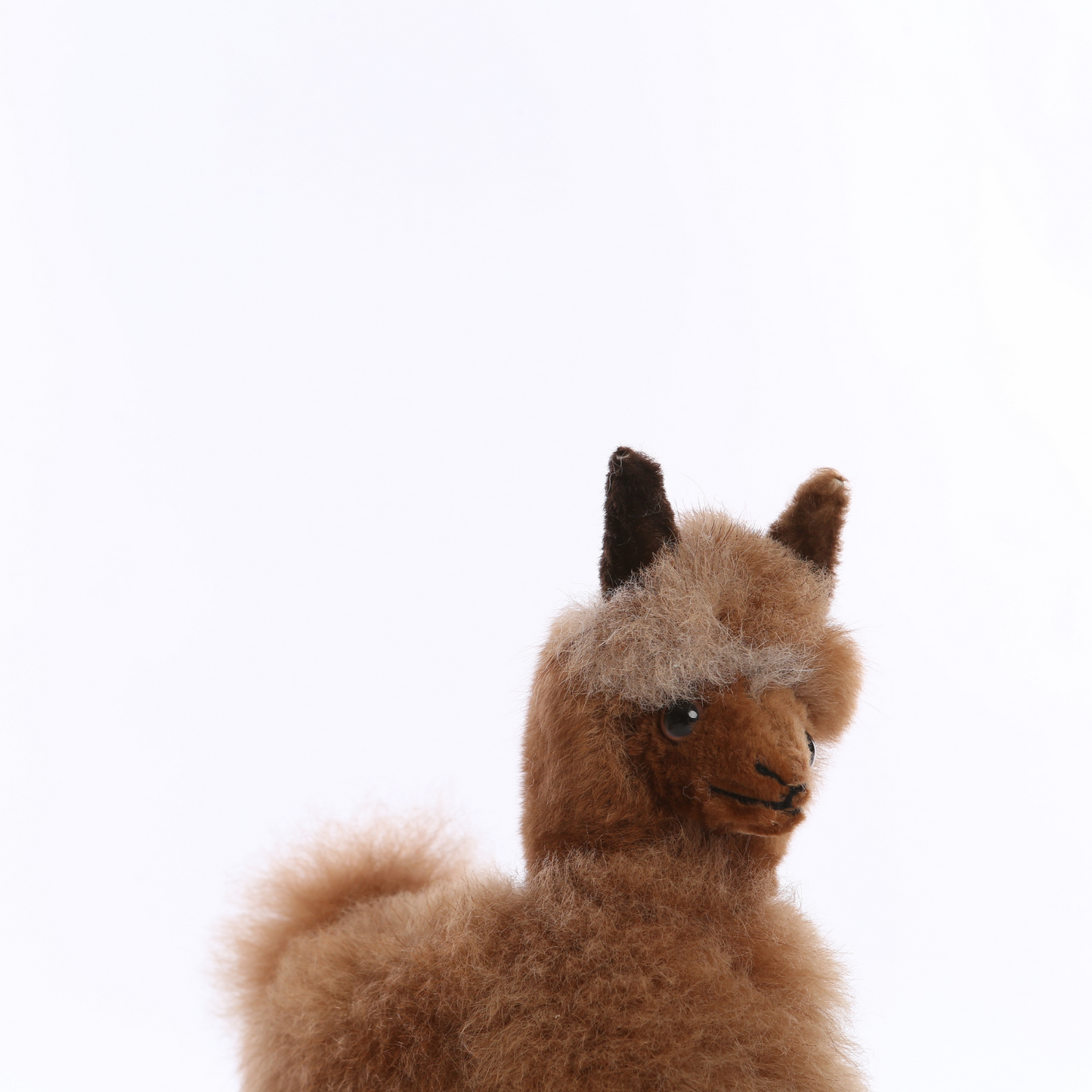 Alpaca Collectible