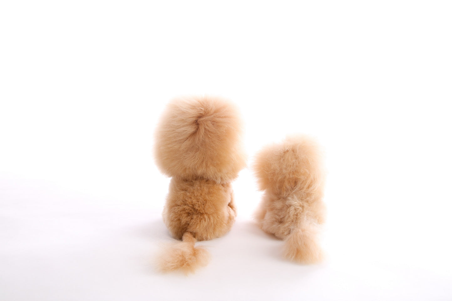 Alpaca Lion Collectible