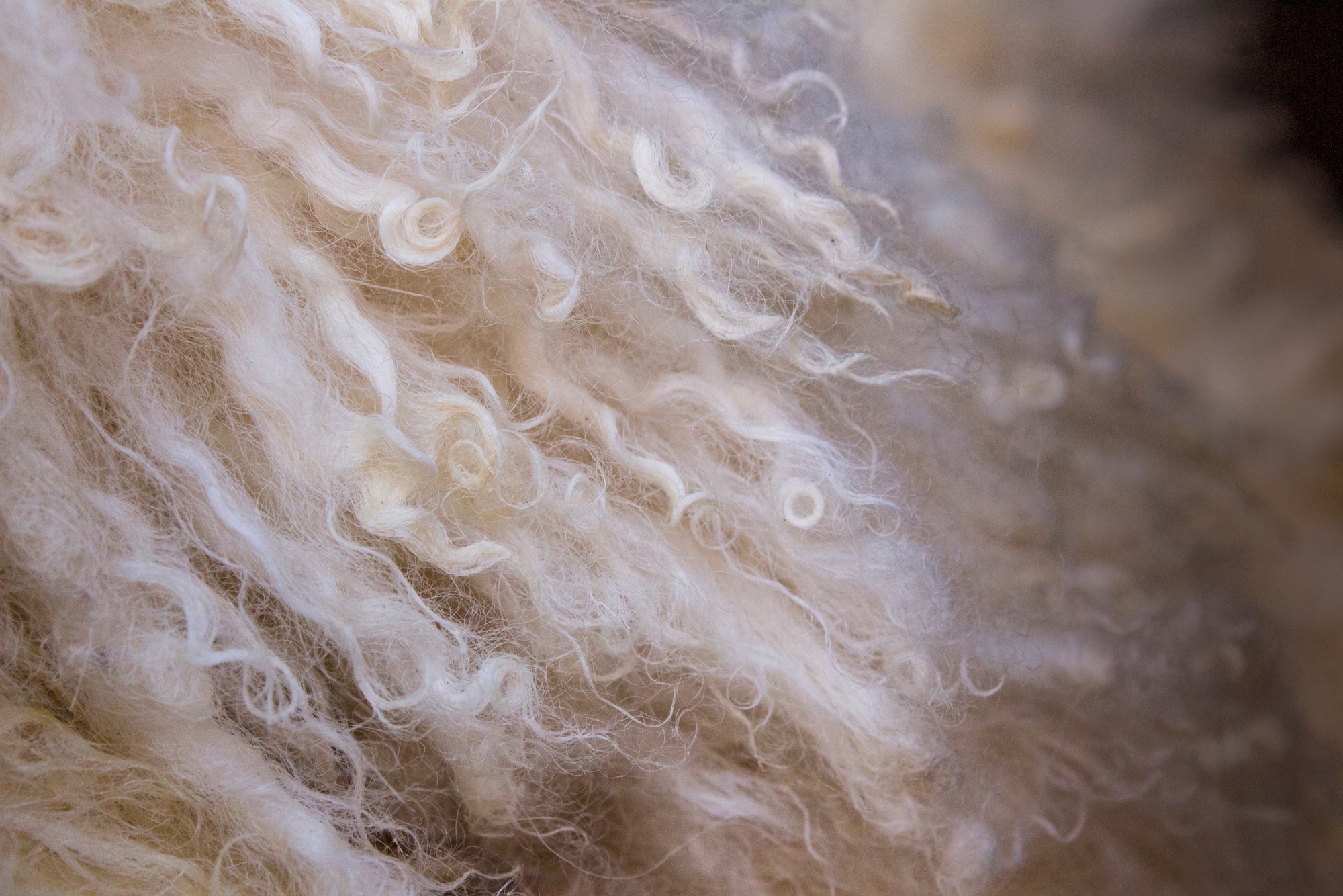 Wool and Texture Options – Fibre by Auskin NZ